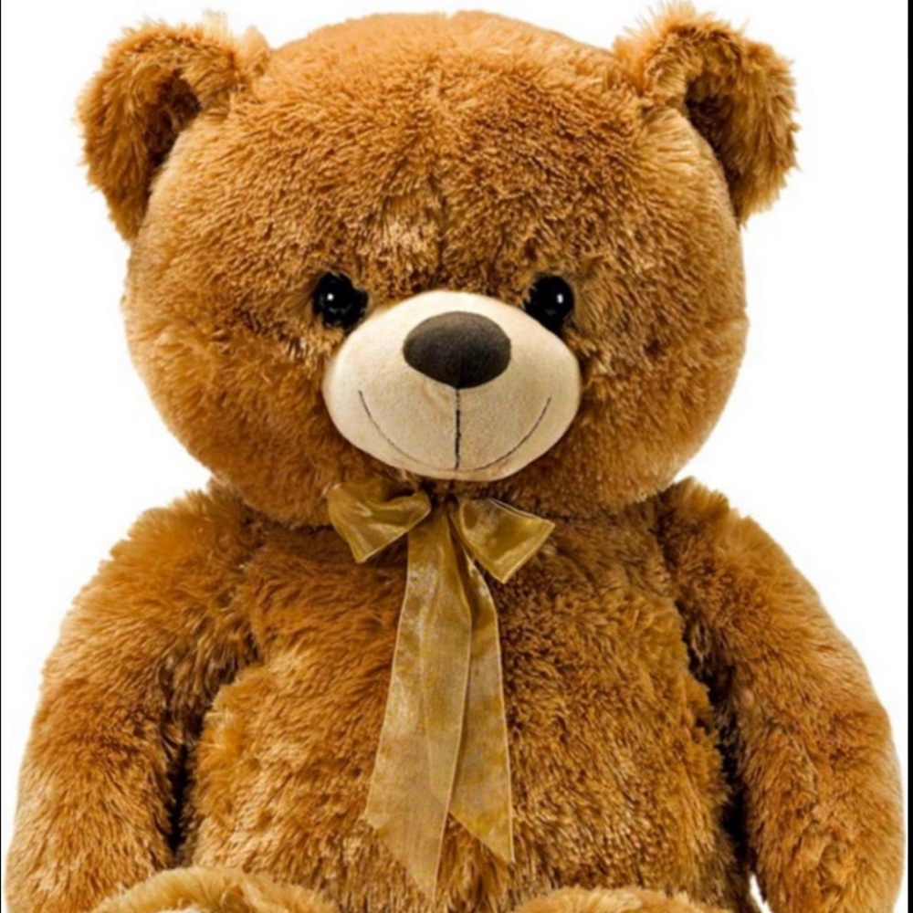 Place Brown Teddy Bear